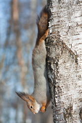 Similar image 1137219