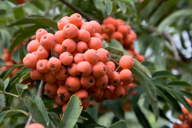 Similar image 1137406