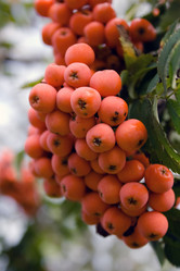 Similar image 1137408