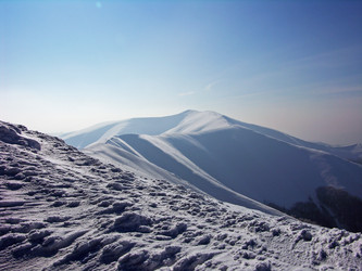 Similar image 1137521