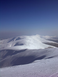 Similar image 1137522