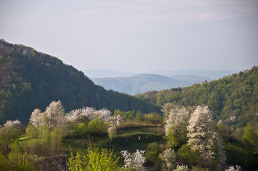 Similar image 1137523