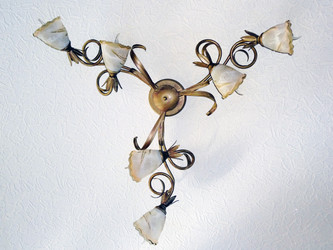 Similar image 1137537