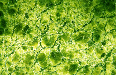 Similar image 1137547