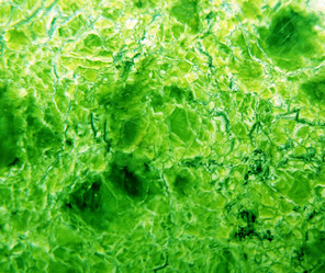 Similar image 1137548