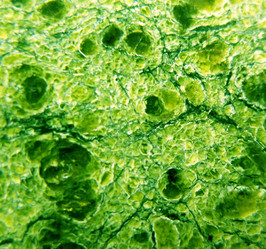 Similar image 1137549