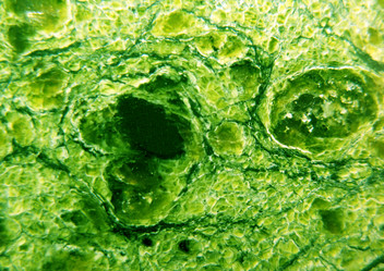 Similar image 1137550