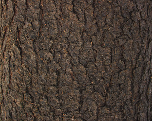 Similar image 1137606