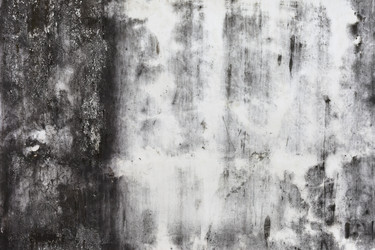 Similar image 1137613