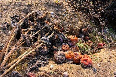 Similar image 1137623