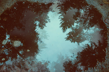 Similar image 1137624