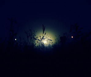 Similar image 1137625