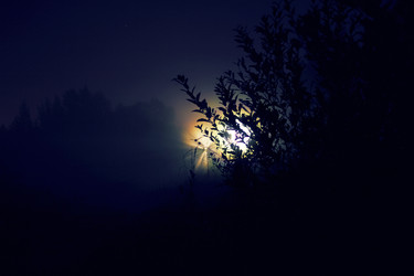 Similar image 1137626