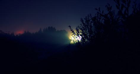 Similar image 1137627