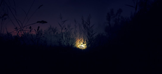 Similar image 1137628