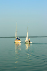 Similar image 1137631