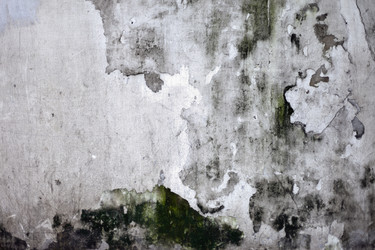 Similar image 1137642