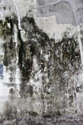 Similar image 1137657