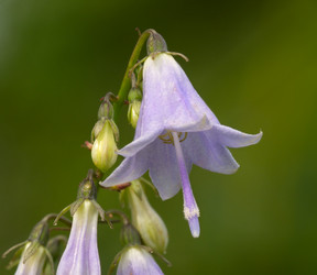 Similar image 1137779