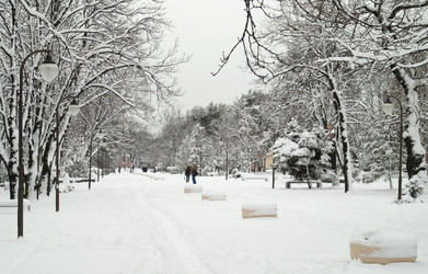 Similar image 1137790