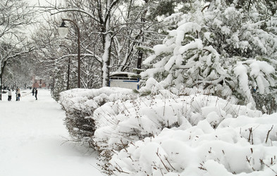 Similar image 1137791