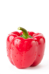 Similar image 1137796