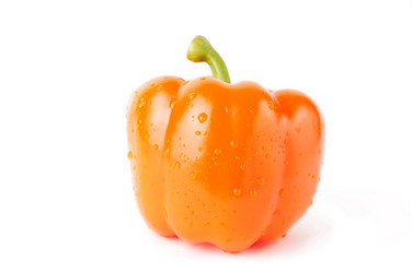 Similar image 1137797