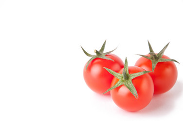 Similar image 1137831