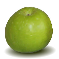 Similar image 1137843