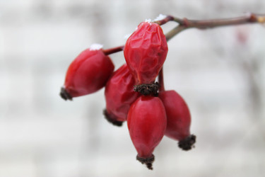 Similar image 1137848