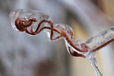 Similar image 1137849