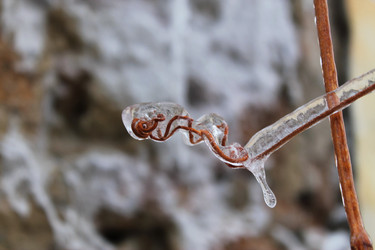 Similar image 1137879