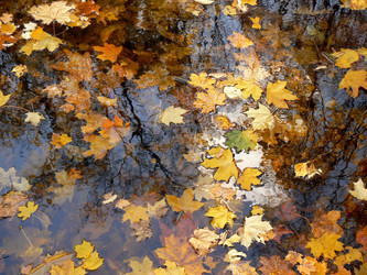 Similar image 1137910