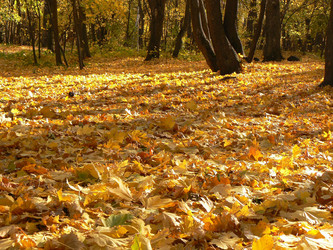 Similar image 1137911