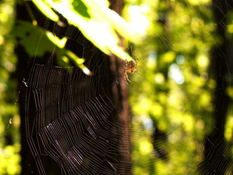 Similar image 1137914