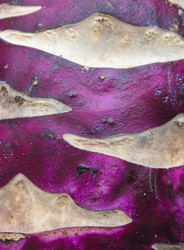 Similar image 1137968