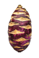 Similar image 1137969