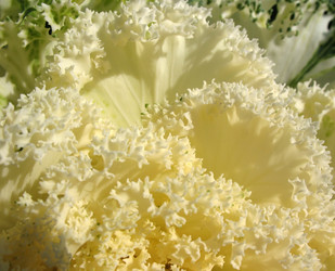 Similar image 1138051