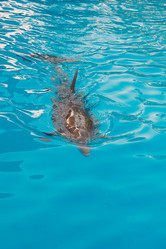 Similar image 1138065