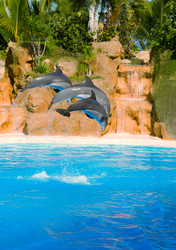 Similar image 1138066