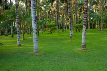 Similar image 1138069