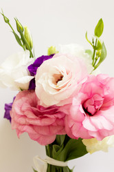 Similar image 1138070