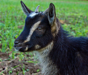 Similar image 1138074