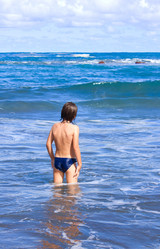 Similar image 1138079