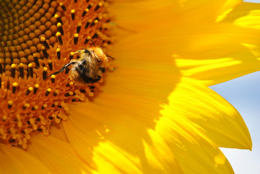 Similar image 1138082