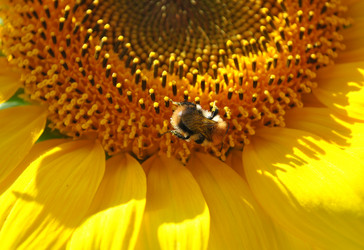 Similar image 1138083