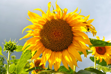 Similar image 1138085