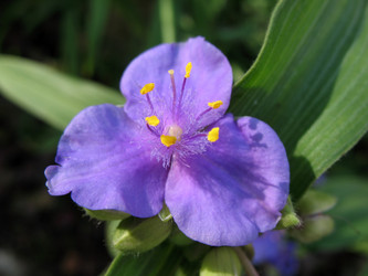 Similar image 1138091