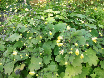 Similar image 1138128