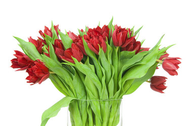 Similar image 1138217